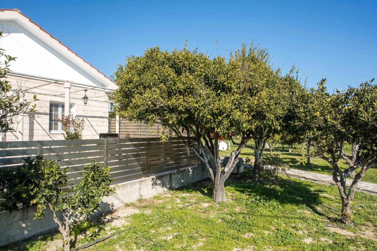 Faliraki Citrus Garden Екстер'єр фото